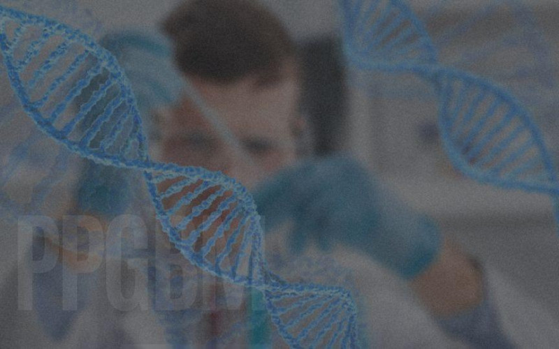 PPGBM da UFRGS alcança nota 7 na Avaliação Quadrienal 2021-2024 da CAPES